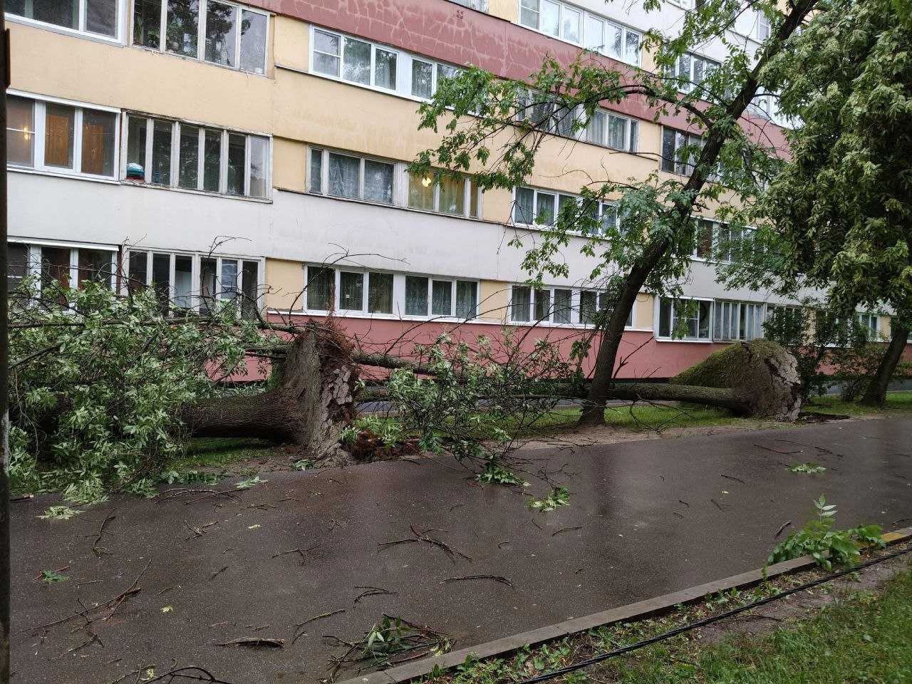 Фото:« Мегаполис | ДТП и ЧП»